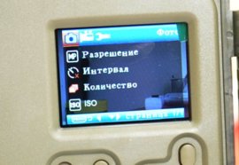 Фотоловушка Сокол